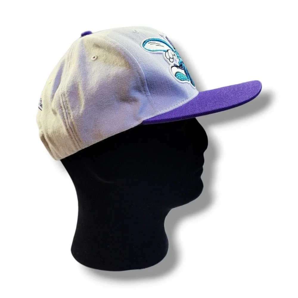 Mitchell & Ness NBA Charlotte Hornets 2 Tone Snapback Hat Cap 100%‎ Wool